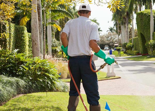 About Wrightsville Beach NC Pest Control